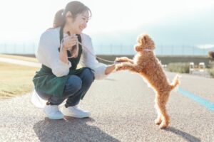 犬　預ける