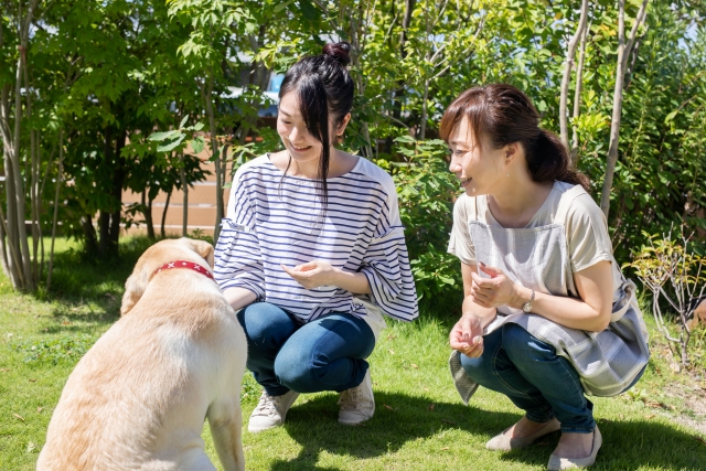 ペットを知人に預ける