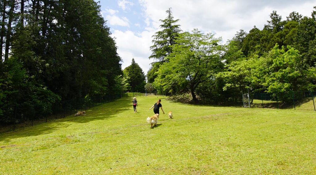 ドッグランのあるキャンプ場　アスパイヤの森