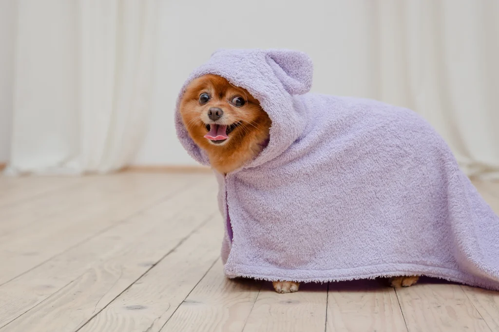 タオルにつつまれる犬
