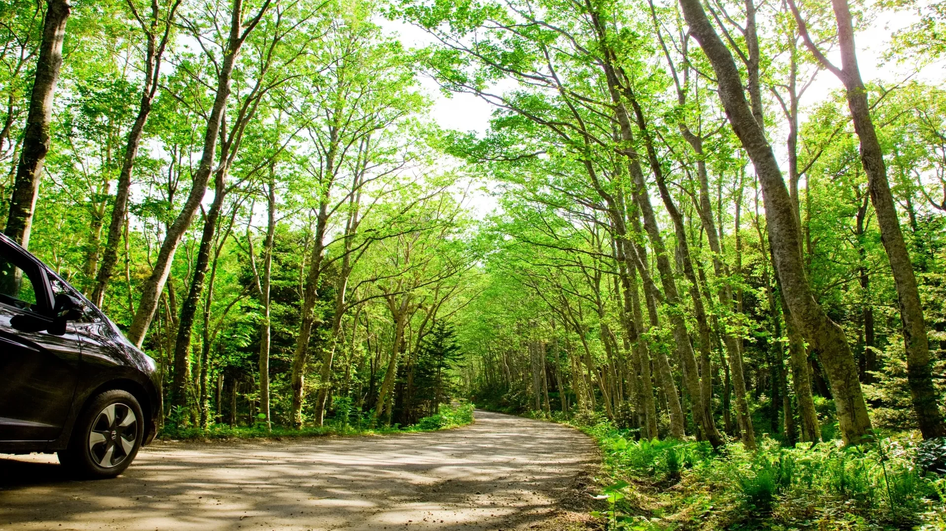 初めての夏のキャンピングカー旅を楽しむコツ